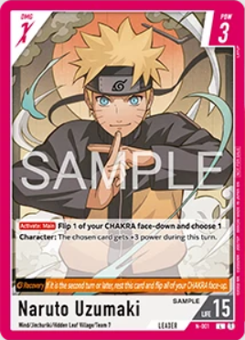 card13